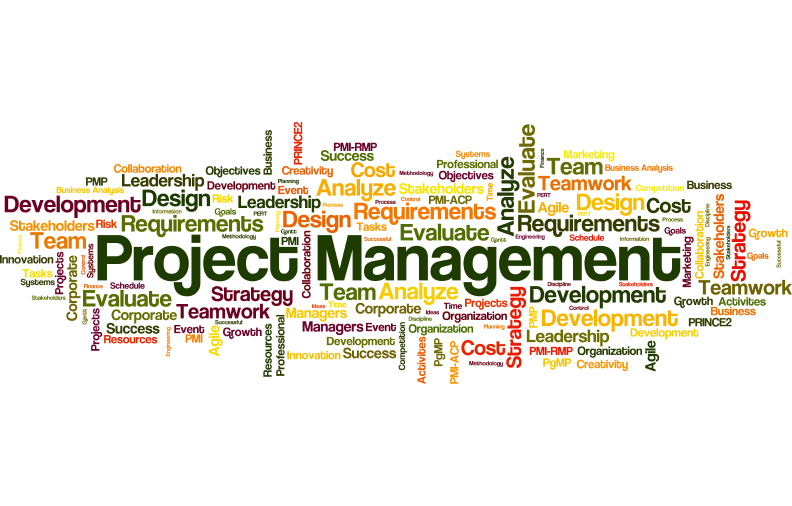 8 Tips for New Project Managers from 7 of the World’s Leading PM Experts