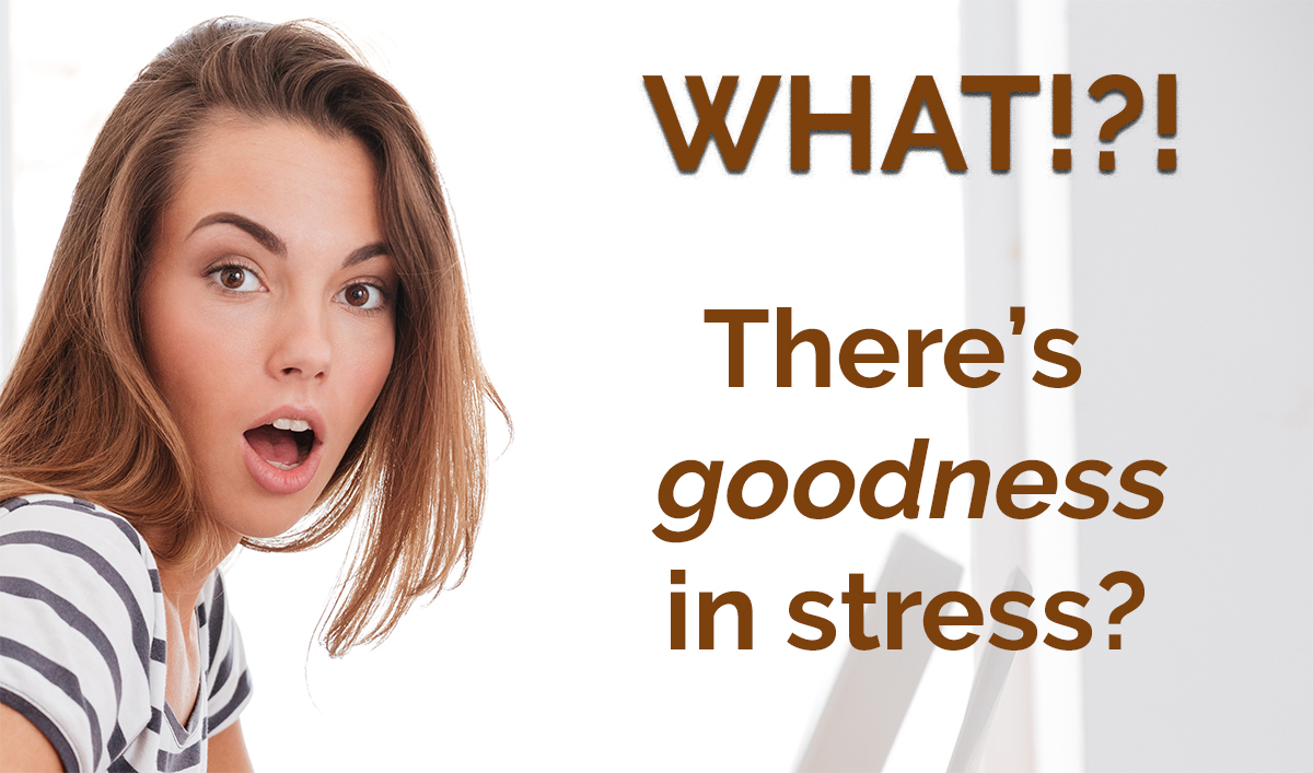 Are you embracing the goodness of STRESS?