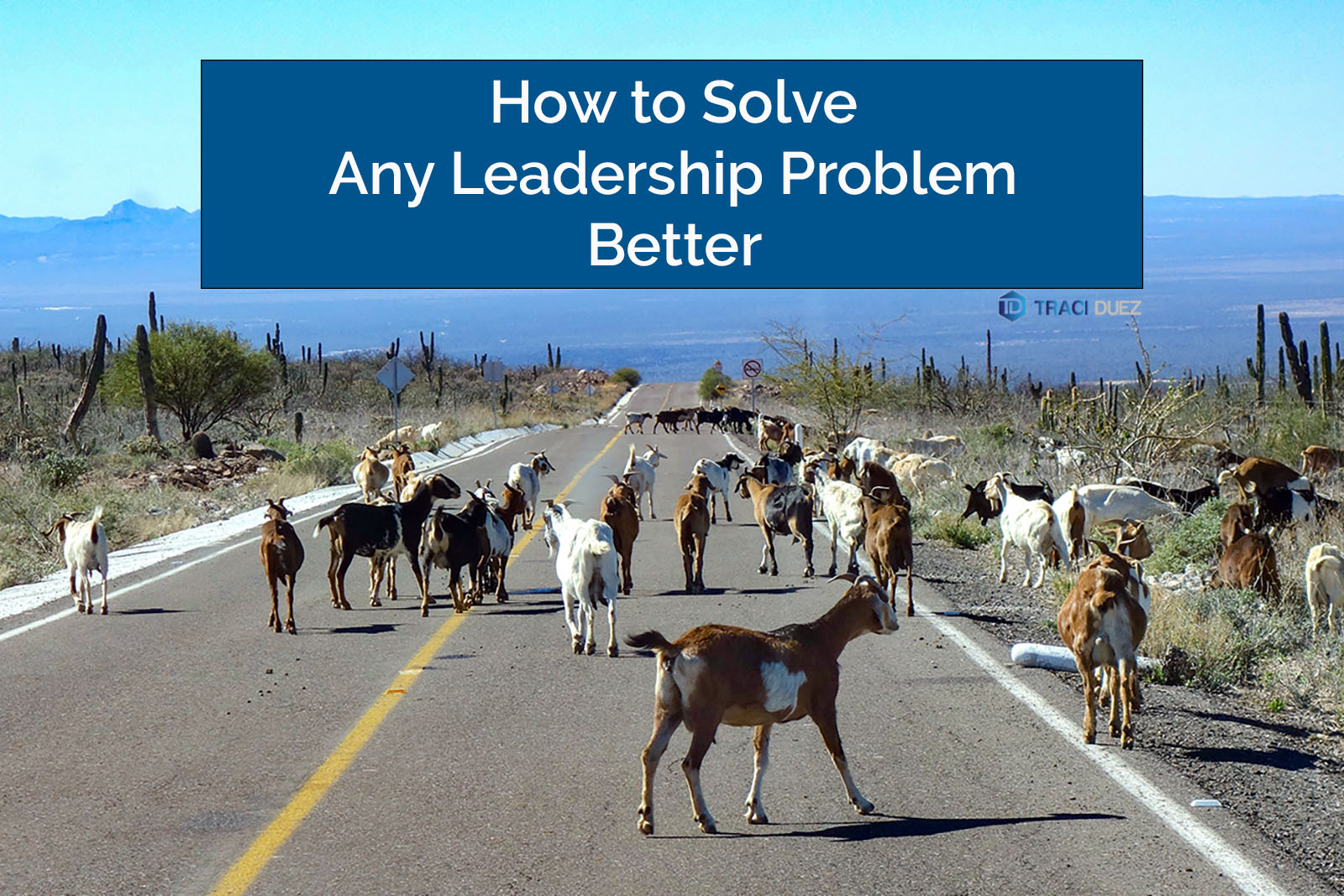 How to Solve Any Leadership Problem Better